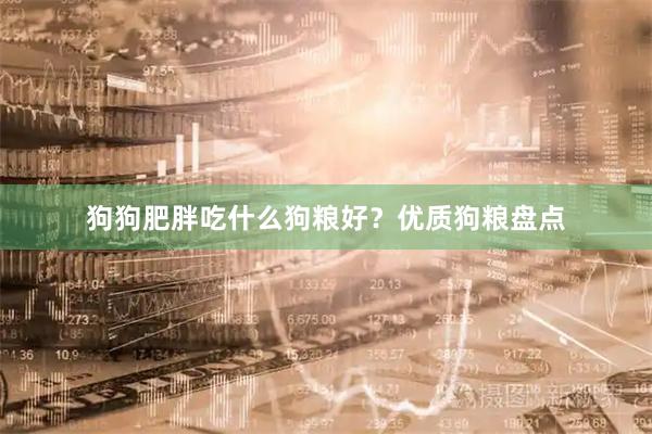 狗狗肥胖吃什么狗粮好?优质狗粮盘点