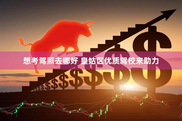想考驾照去哪好 皇姑区优质驾校来助力