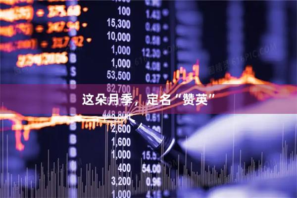 这朵月季，定名“赞英”