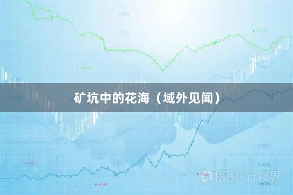 矿坑中的花海（域外见闻）